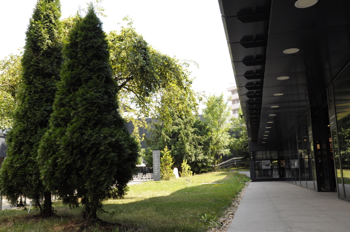 dsc0145_700x700_fit_478b24840a