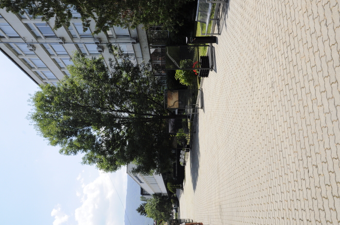 dsc0165_700x700_fit_478b24840a