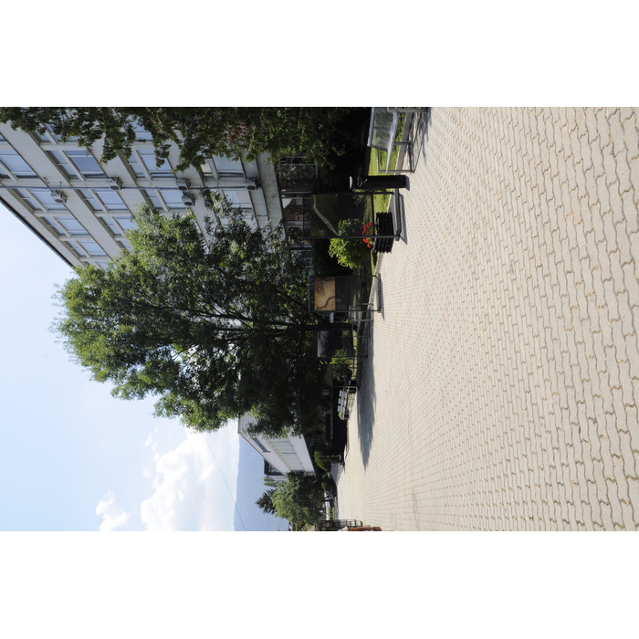 dsc0165_700x700_pad_478b24840a