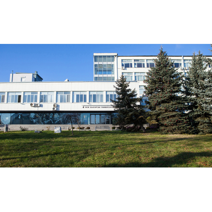 img-0009_700x700_pad_478b24840a