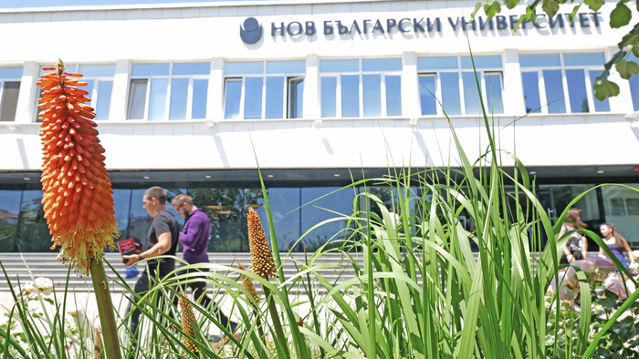 1855523-copy_700x700_fit_478b24840a