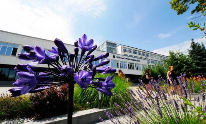 1899019-678x410-crop-478b24840a_700x700_fit_478b24840a