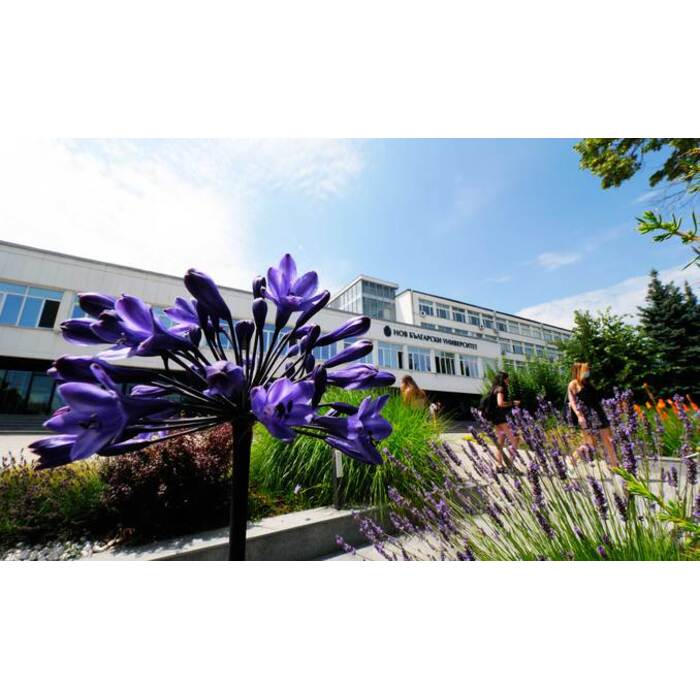 1899019-678x410-crop-478b24840a_700x700_pad_478b24840a