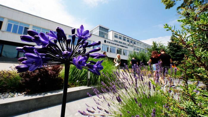 1899094-6014_700x700_fit_478b24840a