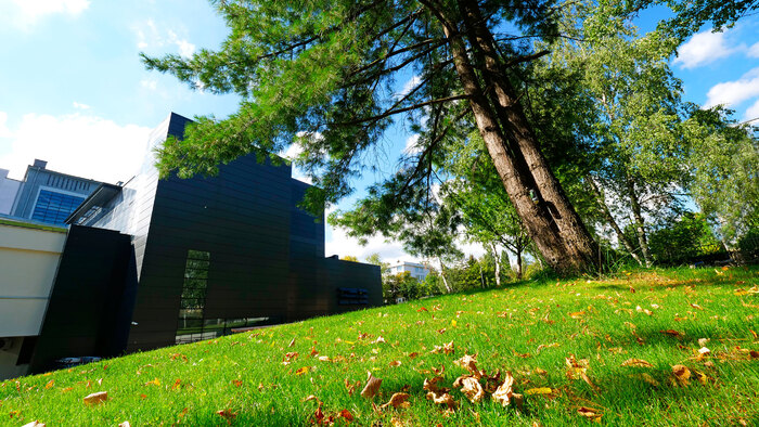 1922252_700x700_fit_478b24840a