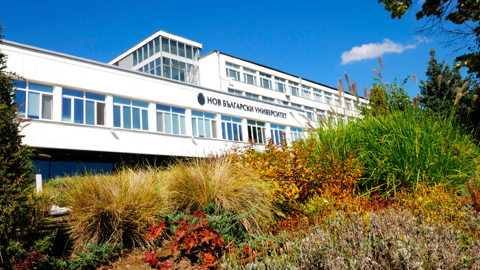 1922354_700x700_fit_478b24840a