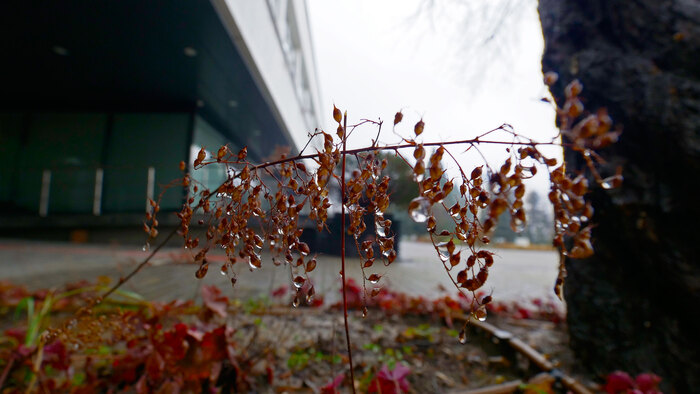 2088838_700x700_fit_478b24840a