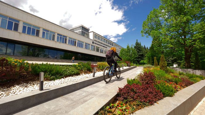 2244523_700x700_fit_478b24840a