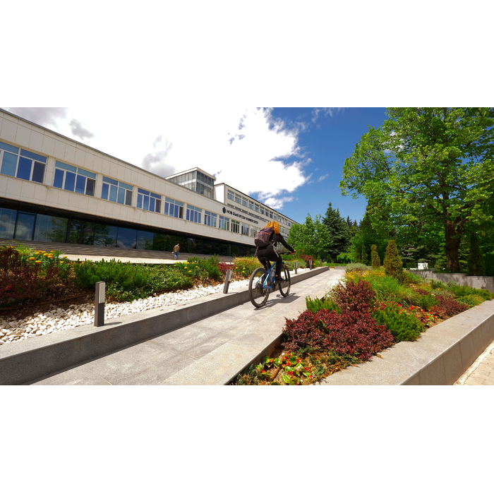 2244523_700x700_pad_478b24840a