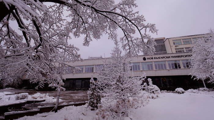 2455131_700x700_fit_478b24840a