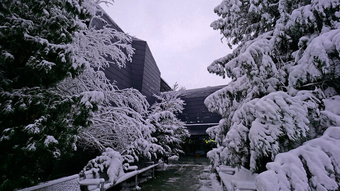 2455146_700x700_fit_478b24840a