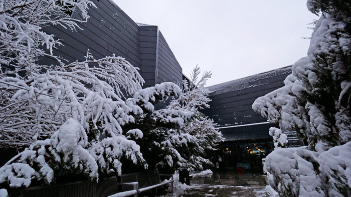 2455148_700x700_fit_478b24840a