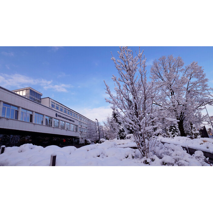 2455388_700x700_pad_478b24840a