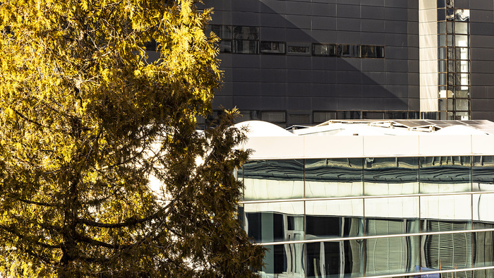 2488477-copy_700x700_fit_478b24840a