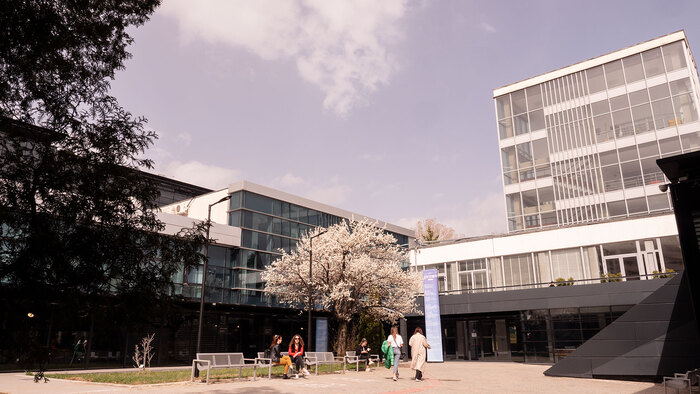 2544042_700x700_fit_478b24840a