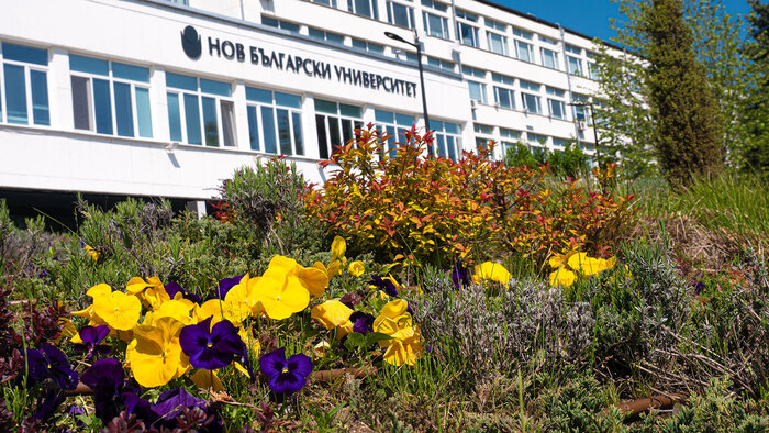 2566413_700x700_fit_478b24840a