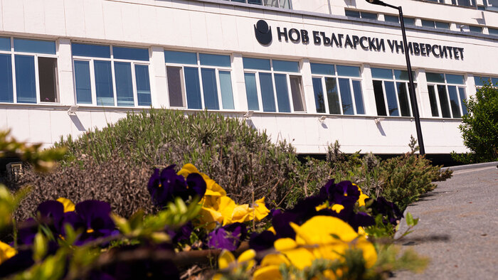 2566415_700x700_fit_478b24840a