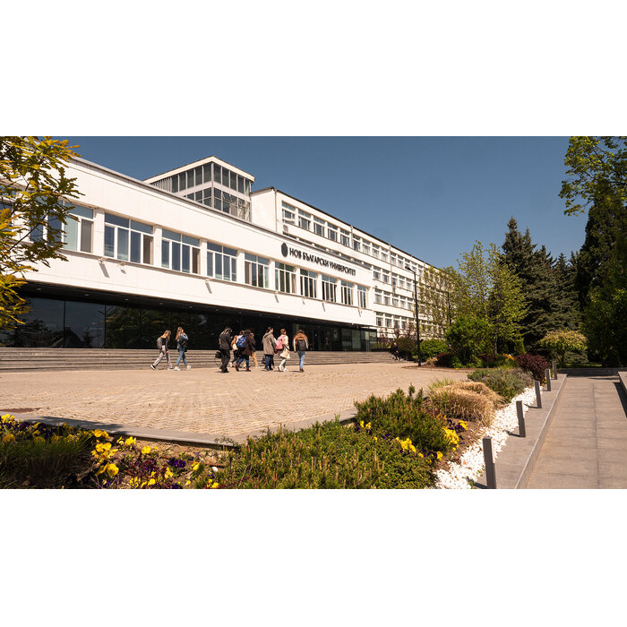 2566457_700x700_pad_478b24840a