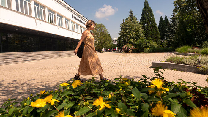 2588933_700x700_fit_478b24840a