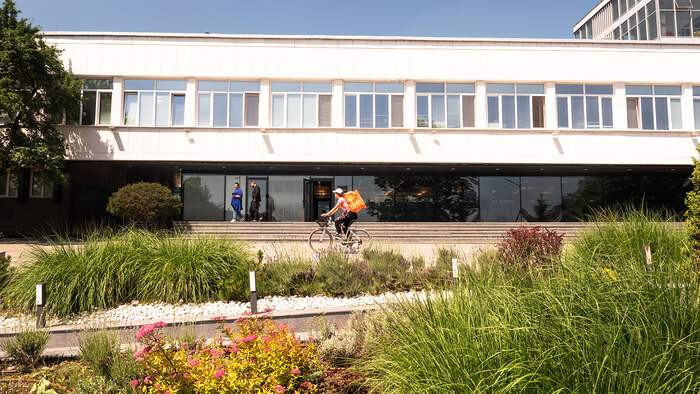 2588958_700x700_fit_478b24840a