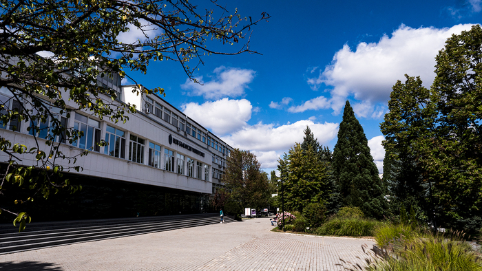 2633670-copy_700x700_fit_478b24840a