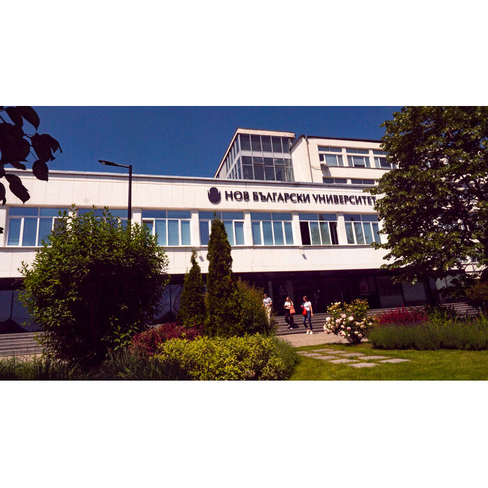 p3200202_700x700_pad_478b24840a