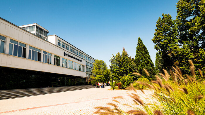 p3388647_700x700_fit_478b24840a