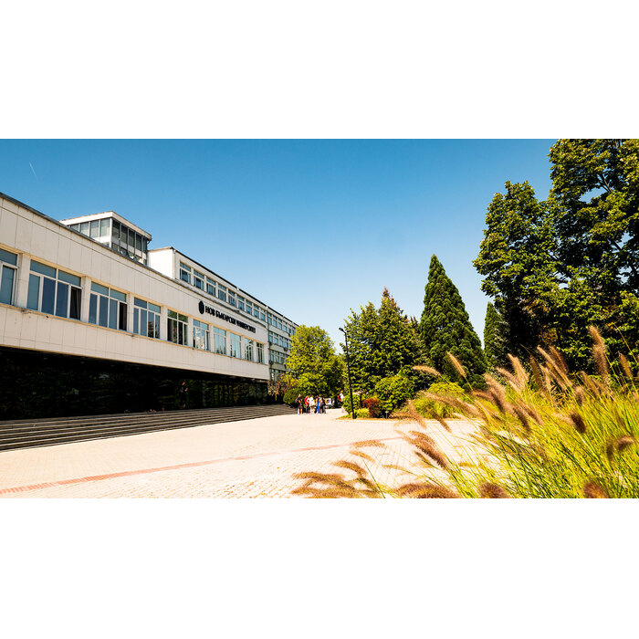 p3388647_700x700_pad_478b24840a