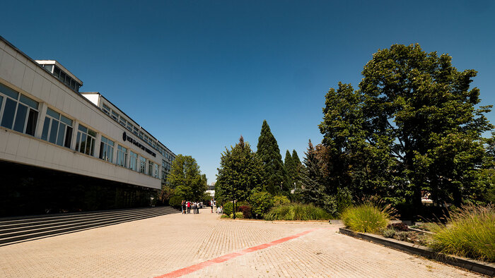 p3388654_700x700_fit_478b24840a