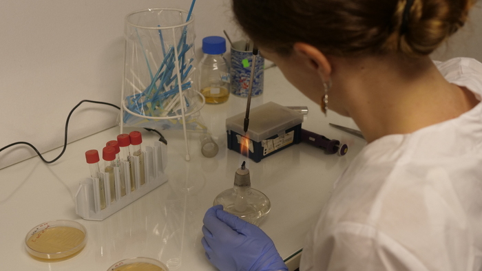 1500627_700x700_fit_478b24840a