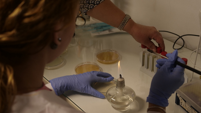 1500673_700x700_fit_478b24840a