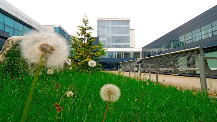 1799891_700x700_fit_478b24840a