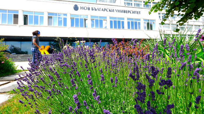 1811641_700x700_fit_478b24840a