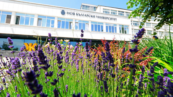 1811685_700x700_fit_478b24840a