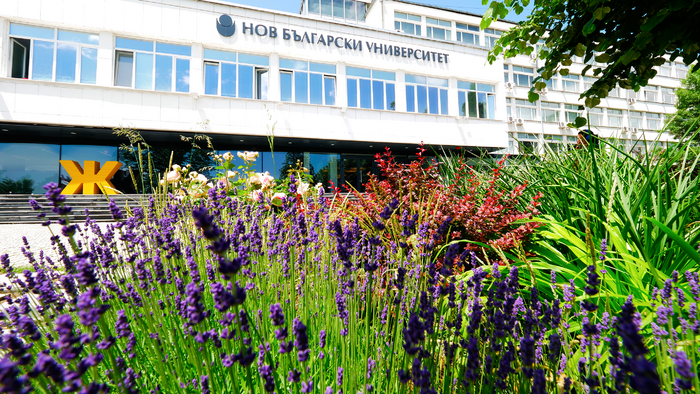 1811697_700x700_fit_478b24840a