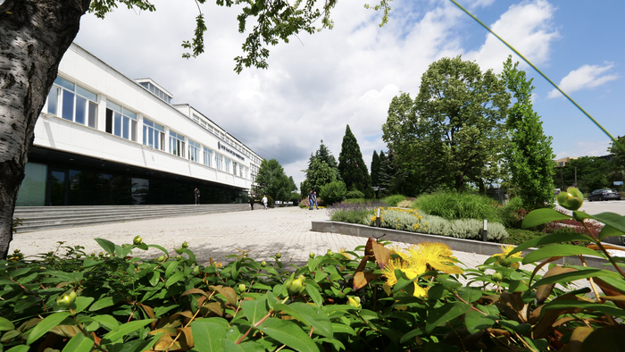 1822742-copy_700x700_fit_478b24840a