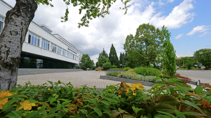 1822748_700x700_fit_478b24840a