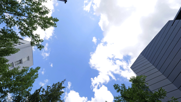 1833169-copy_700x700_fit_478b24840a