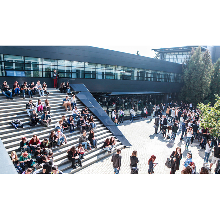 mg-1703_700x700_pad_478b24840a