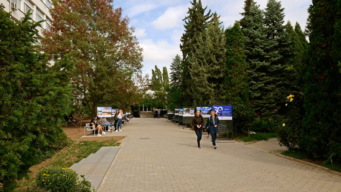 2366173_700x700_fit_478b24840a