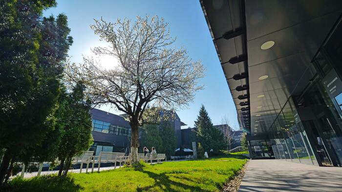 p1111314_700x700_fit_478b24840a