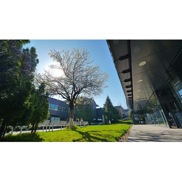 p1111314_700x700_pad_478b24840a