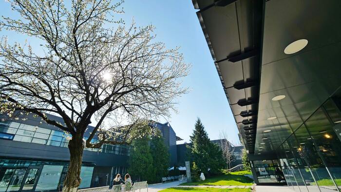 p1111318_700x700_fit_478b24840a