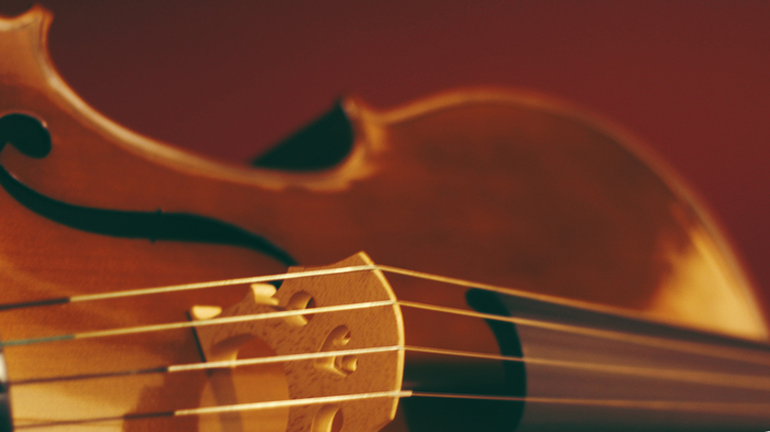 viola_700x700_fit_478b24840a