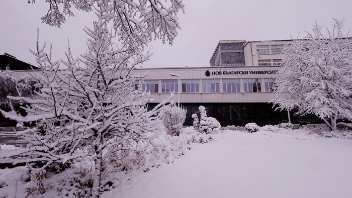 2455127_700x700_fit_478b24840a