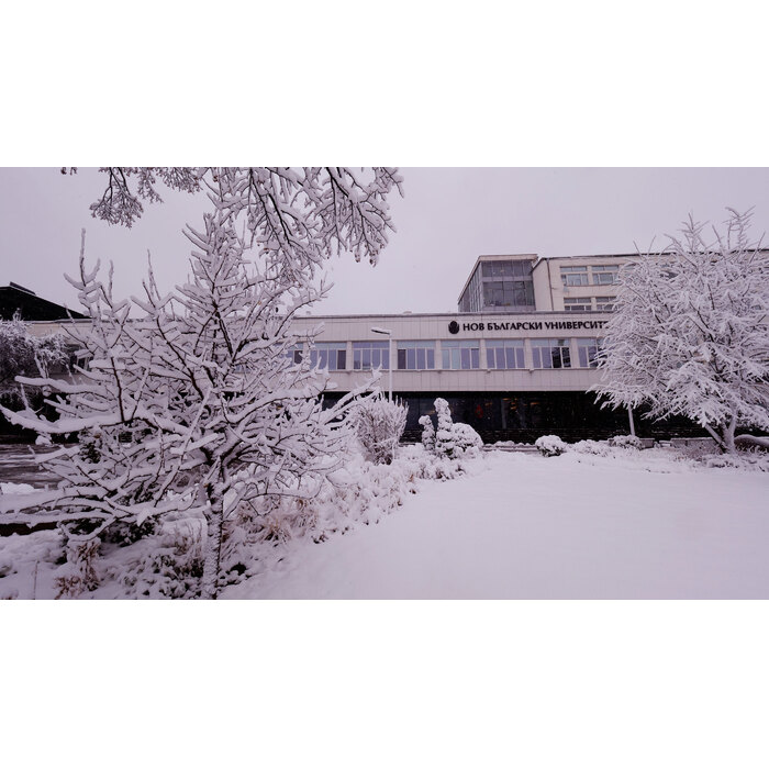 2455127_700x700_pad_478b24840a