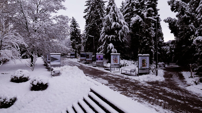 2455239_700x700_fit_478b24840a