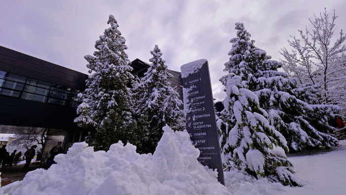 2455353_700x700_fit_478b24840a