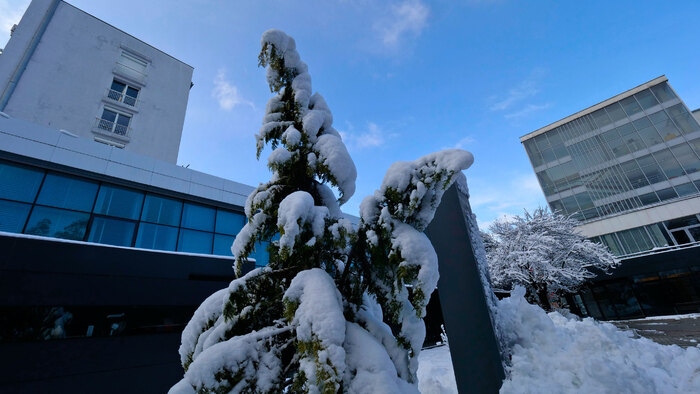 2455372_700x700_fit_478b24840a