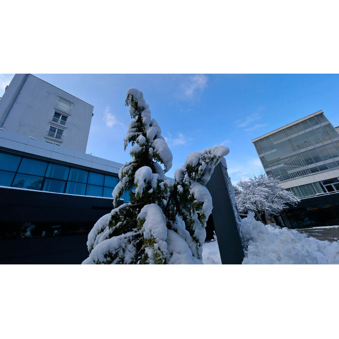 2455372_700x700_pad_478b24840a